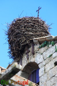 ポルトガル・コウノトリの巣