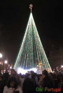 ポルト・巨大クリスマスツリー