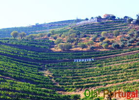 ポルトガルの世界遺産：ドウロ側上流ワイン生産地域