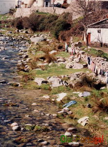 ポルトガルの洗濯女