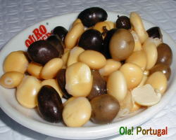 ポルトガル料理　Tremoco