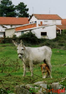 ポルトガルの農村風景