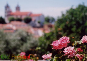 ポルトガル旅行記・写真集：花と教会