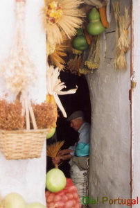 �|���g�K���̎�d��