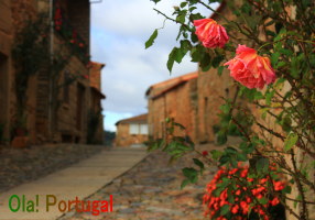 ポルトガルガイド本「レトロな旅時間ポルトガルへ」の著者のＨＰ＆ブログ
