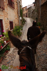 カステロ・ロドリゴ：オプショナルツアー（ロバの体験乗馬）